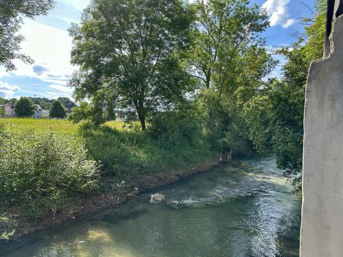 Der Fluss Echaz mit begrünter Böschung.